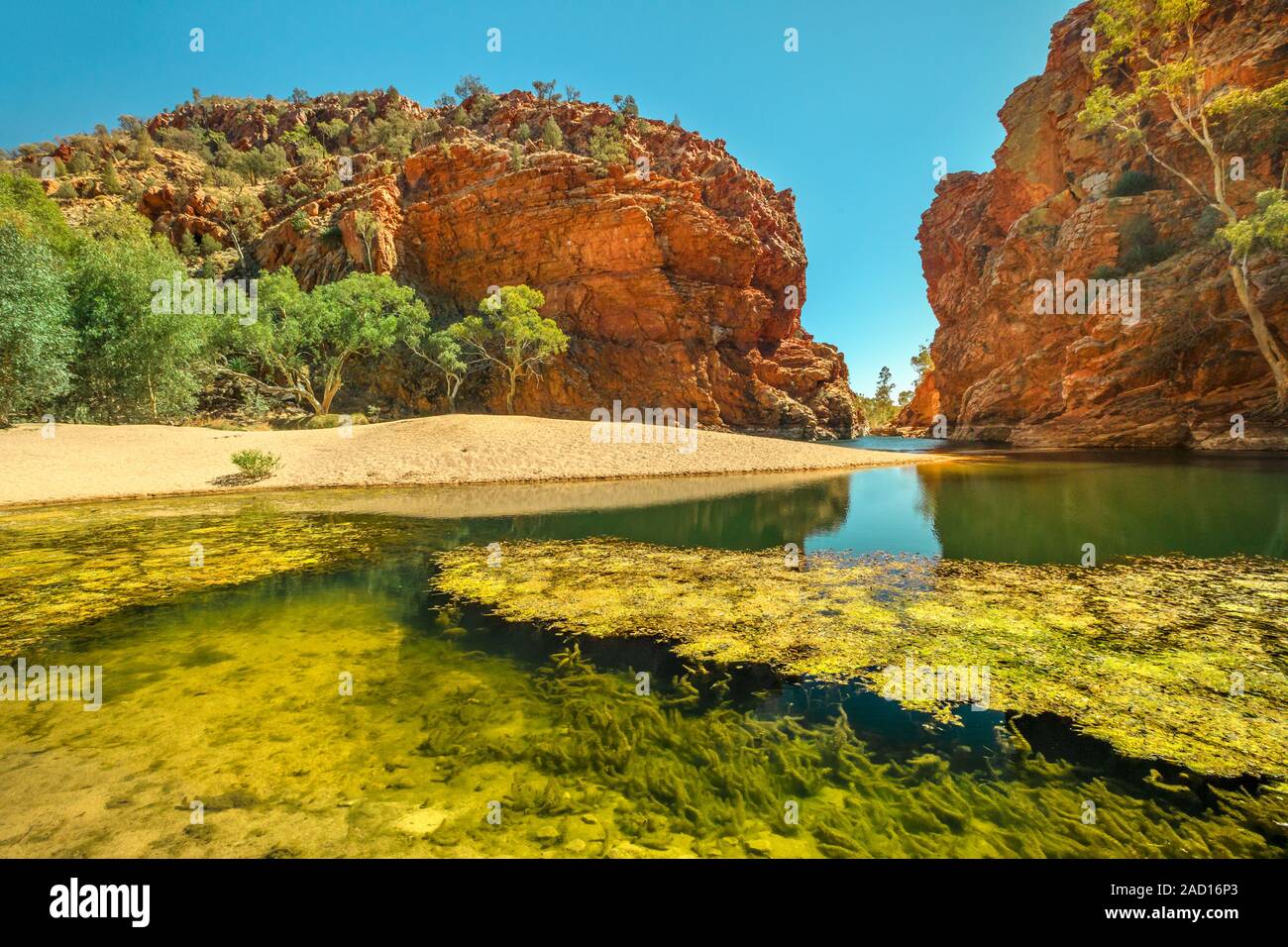 Ellery Creek Big Hole, un waterhole in una gola circondata da alte scogliere rosso, è uno dei più popolari camping, passeggiate, nuoto spot in Occidente Foto Stock