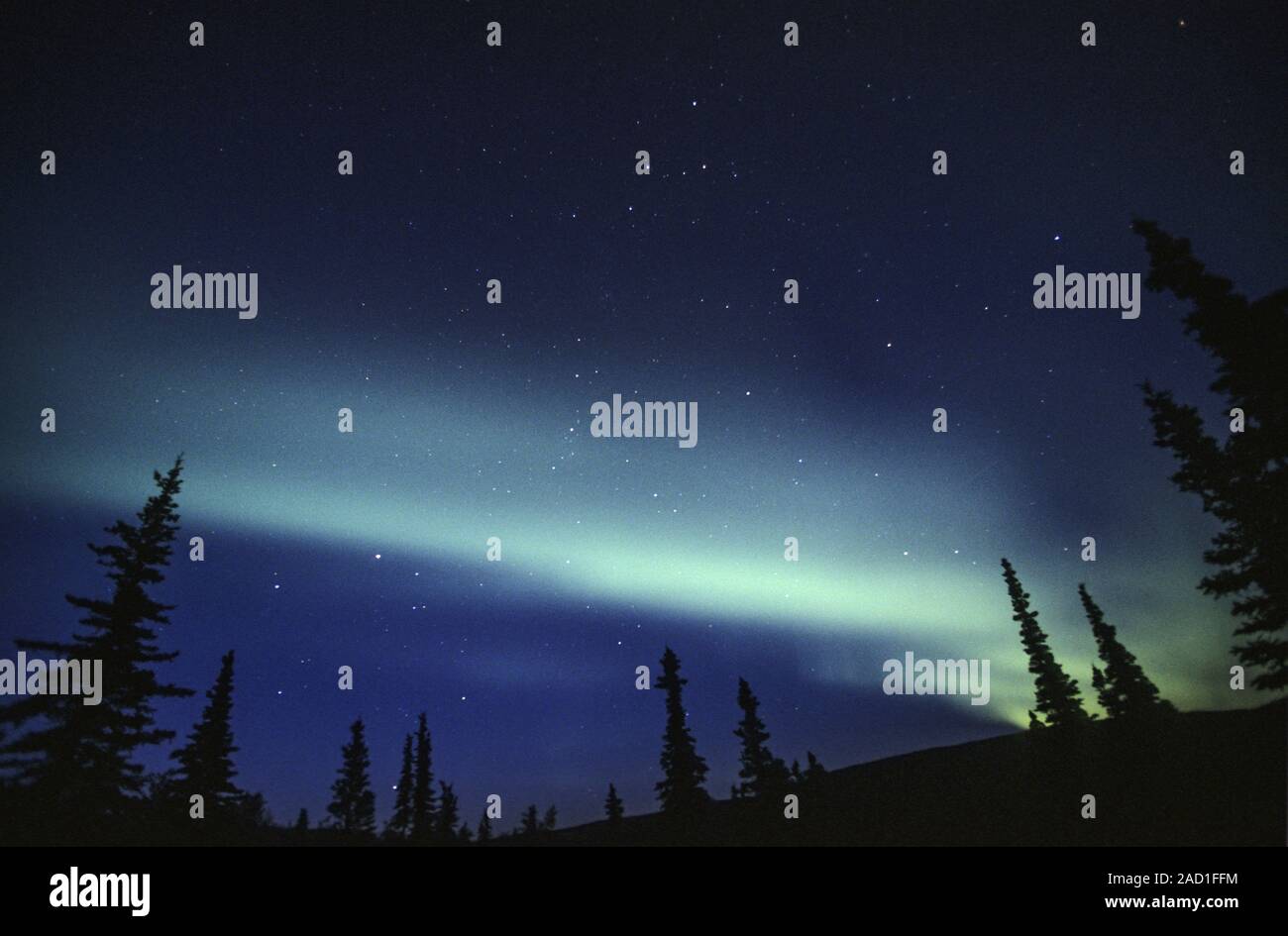 Luci del nord al cielo notturno / Parco Nazionale di Denali - Alaska Foto Stock