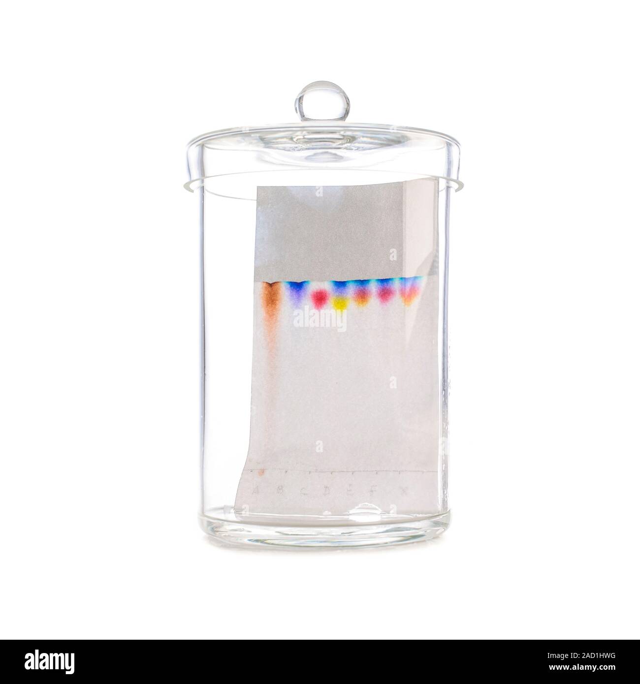 Cromatografia su carta. Striature lasciate da inchiostri di colori differenti in una cromatografia su carta esperimento. Gli inchiostri colorati sono stati utilizzati per rendere colorato sp Foto Stock
