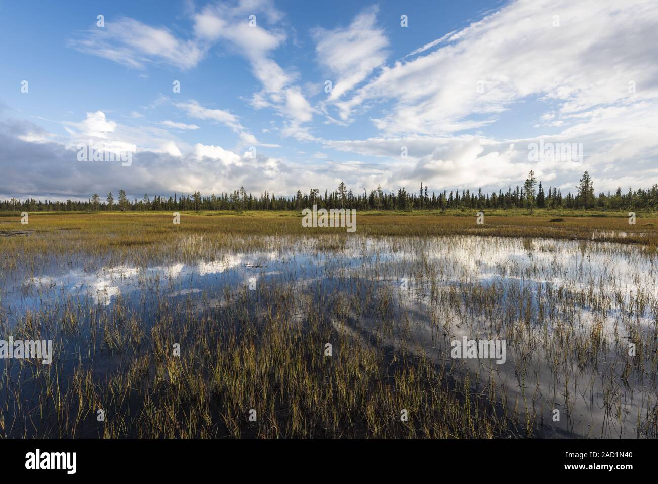 Le nuvole riflettono in un lago, Muddus National Park, Lapponia, Svezia Foto Stock