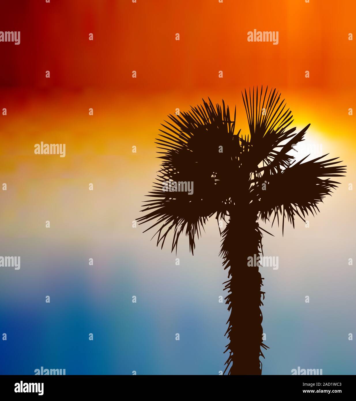 Sfondo tropicale con Palm tree al tramonto Foto Stock