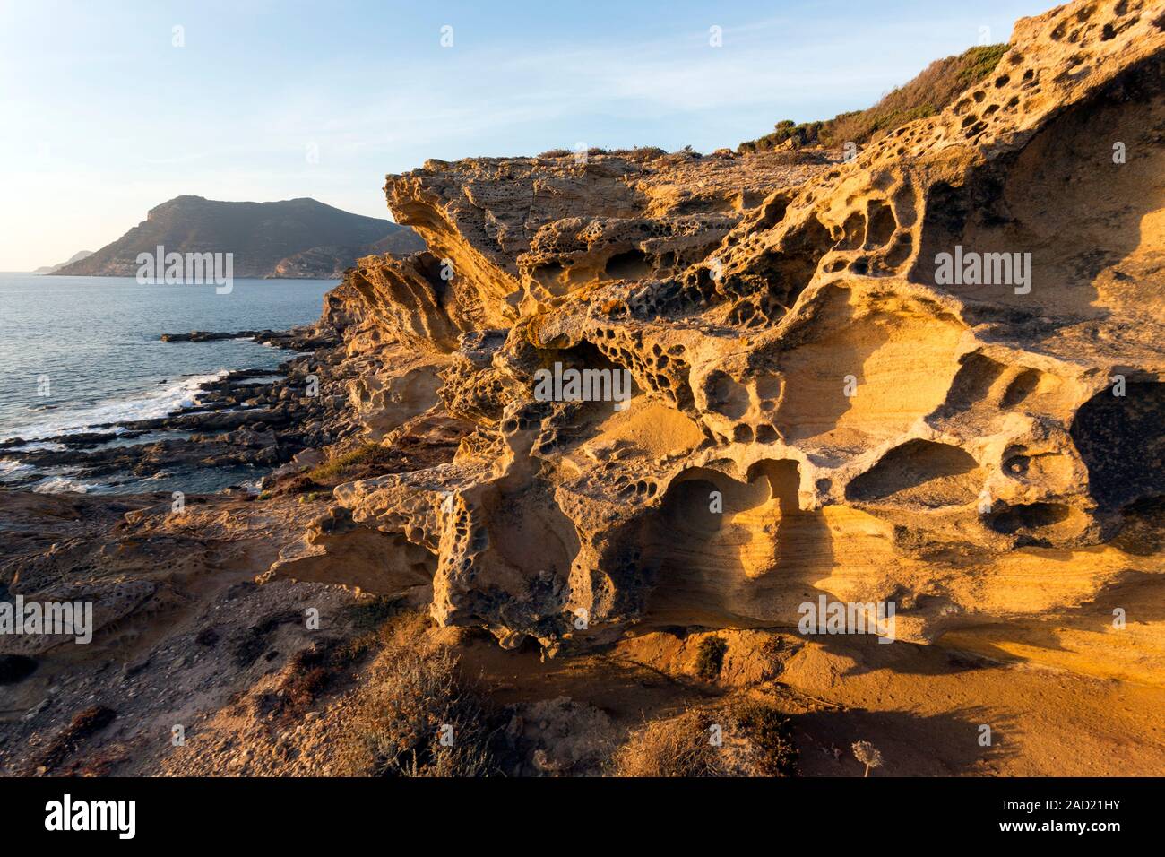 Resistenza agli agenti atmosferici di tafoni di arenaria sulla costa vicino  ad Alghero, Sardegna, Italia. Tipico