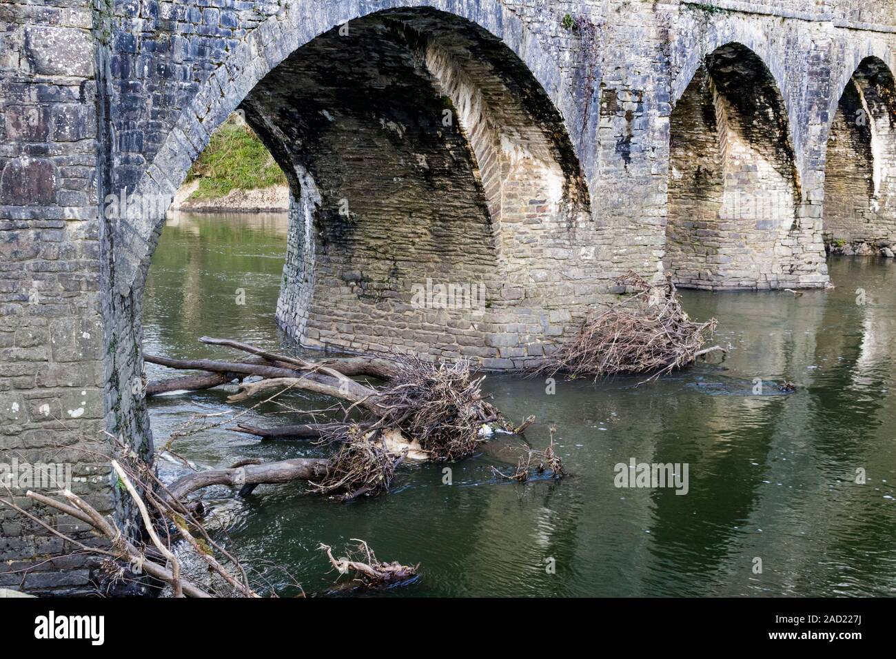 Inverno vista guardando, lungo le arcate della storica Rothern ponte sul fiume Torridge bloccato con tronchi di alberi portati giù in precedenza Torrent: Foto Stock