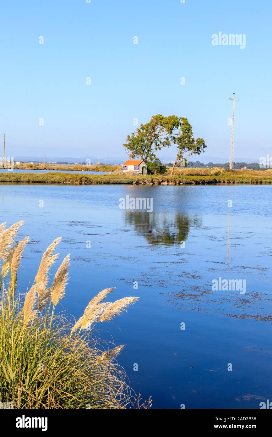 Aveiro, Portogallo. Alta Marea inondazioni automobili parcheggiate sulle rive della laguna! Aveiro, è salutato come il portoghese equivalente di Venezia Foto Stock