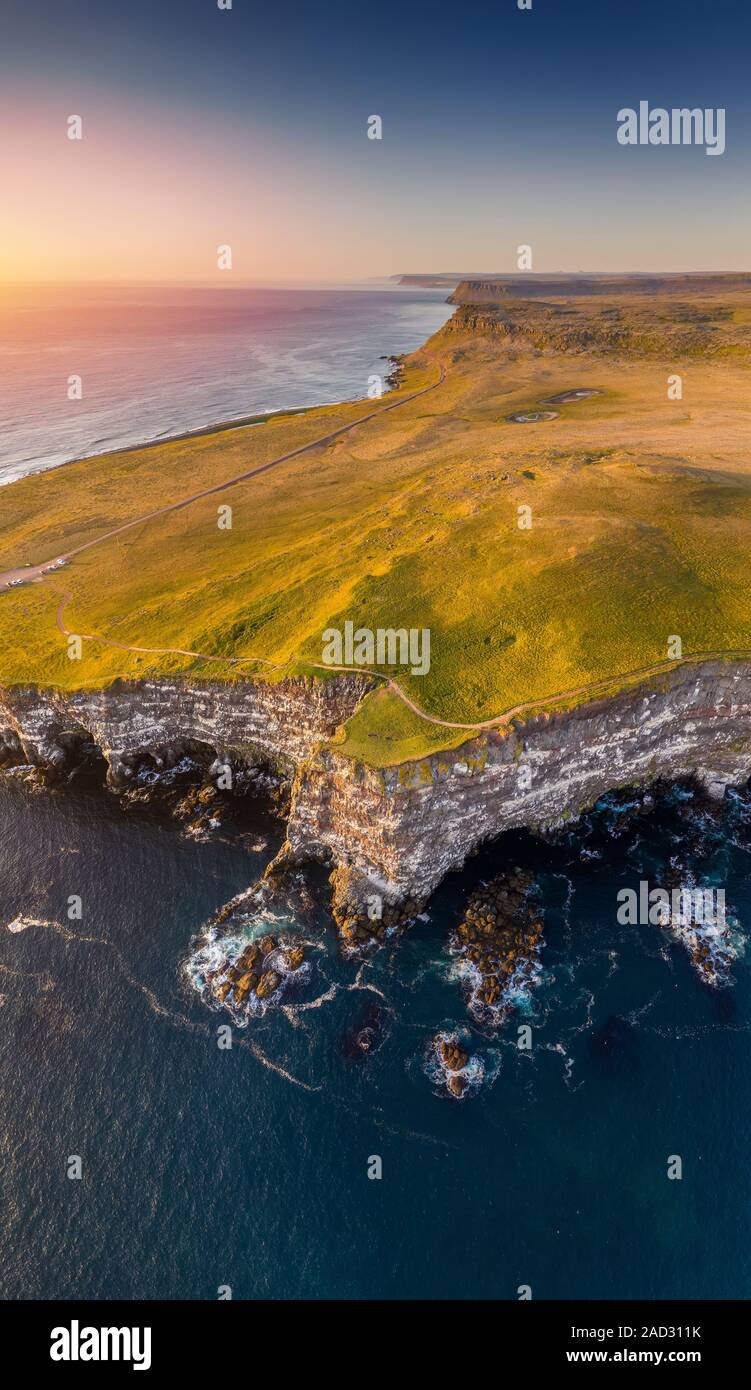 Scogliere Latrabjarg, Westfjords, Islanda Foto Stock