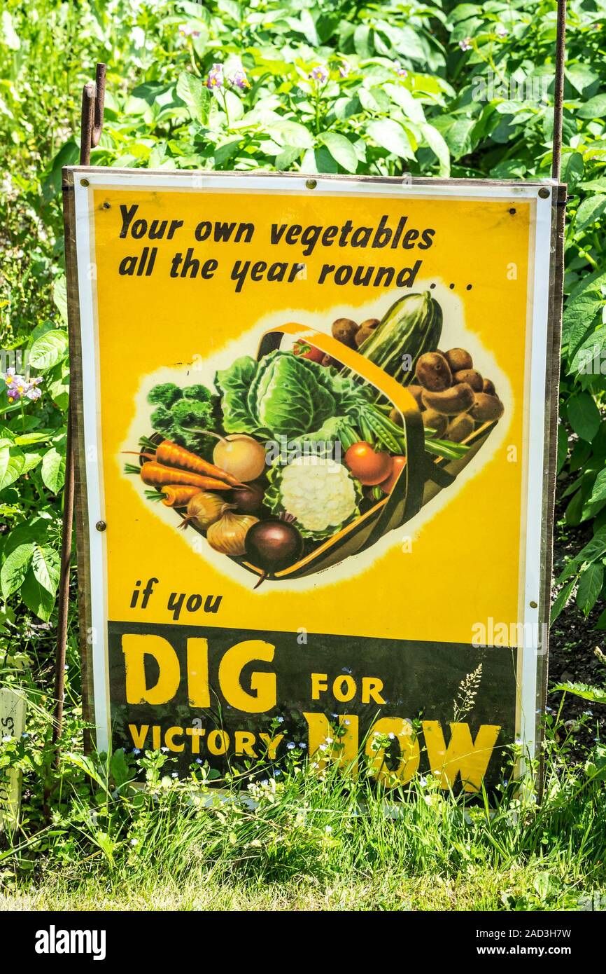 Scavare per Victory segno vintage all'aperto nel giardino estivo, stazione di Arley, Severn Valley Railway 1940's wartime event. Coltivare i propri prodotti alimentari forniture. Foto Stock