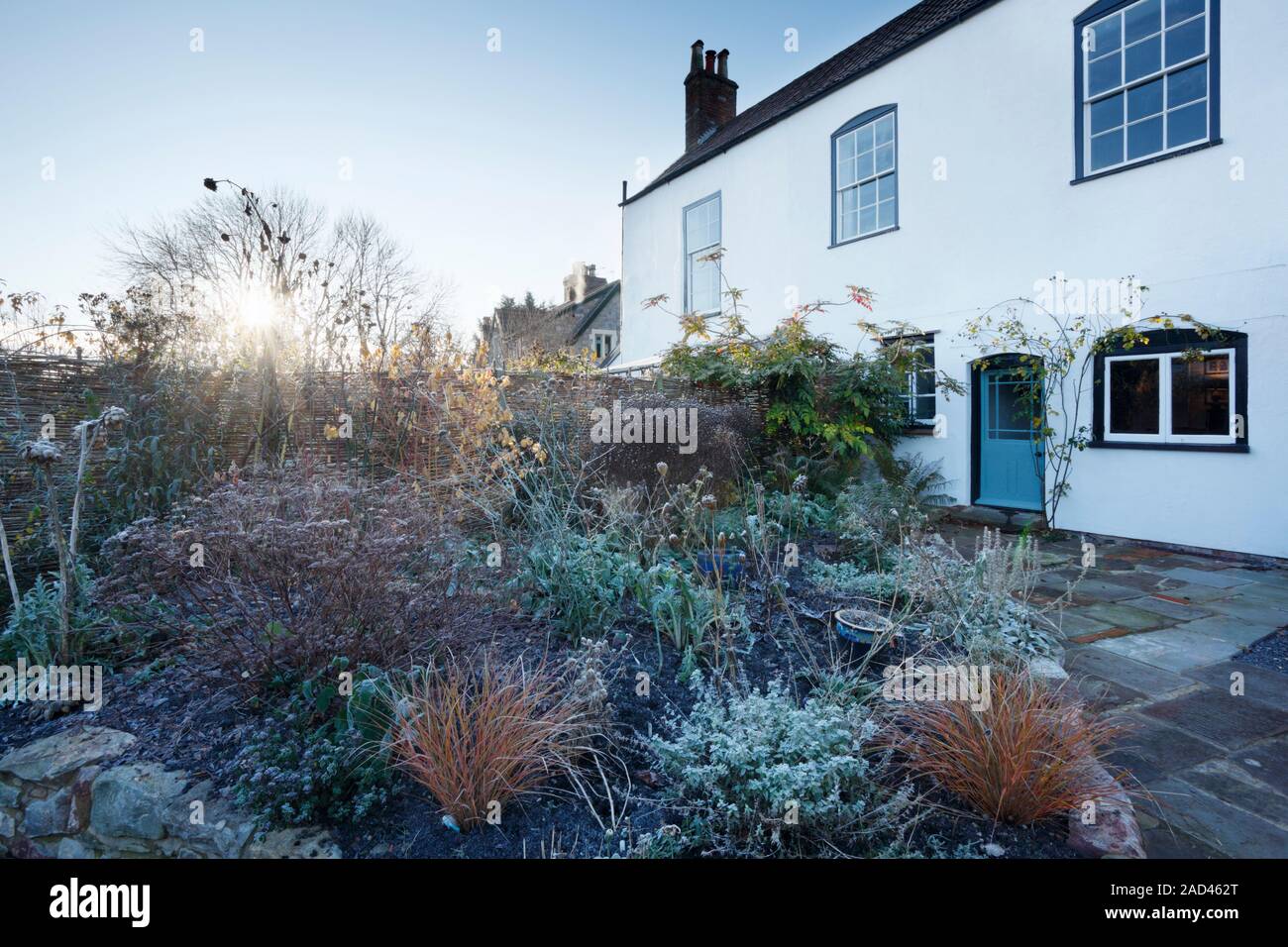 Confine erbaceo nel giardino di un periodo elencati casa su un gelido inverno mattina. Bristol. Regno Unito. Foto Stock