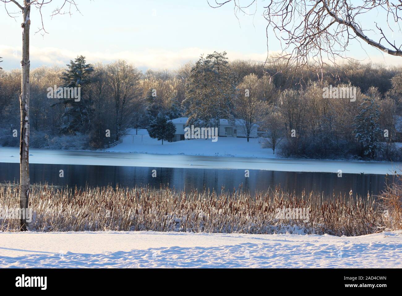 Il ghiaccio e la neve che copre tutto intorno il mulino stagno dopo un inizio inverno Tempesta di Marion, Michigan Foto Stock