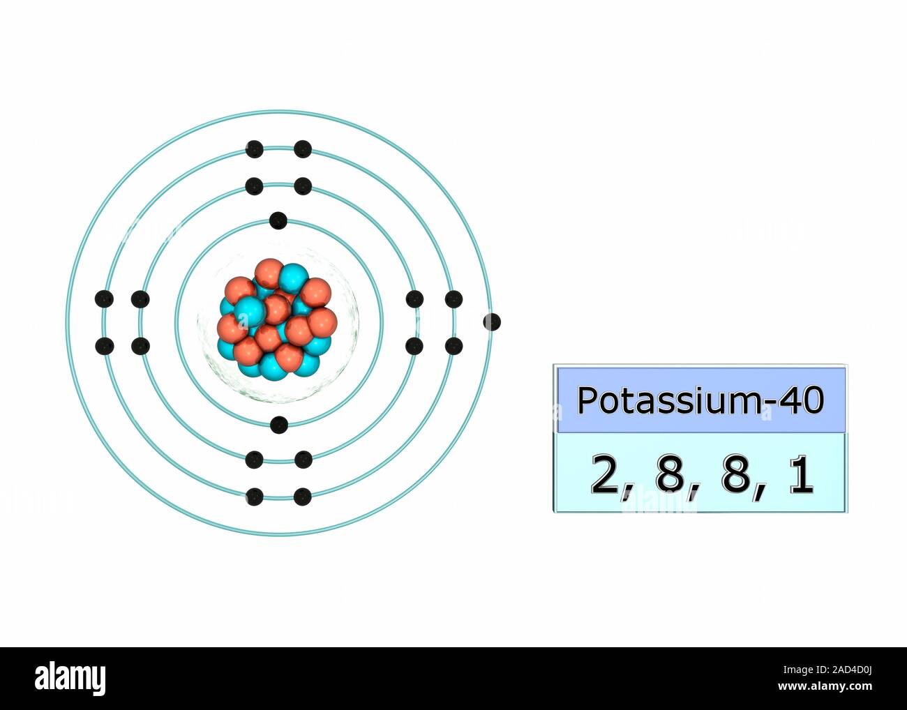 Potassio configurazione di elettroni. Illustrazione della struttura atomica e configurazione di elettroni dell' elemento potassio. Un atomo di questo elemento ha Foto Stock