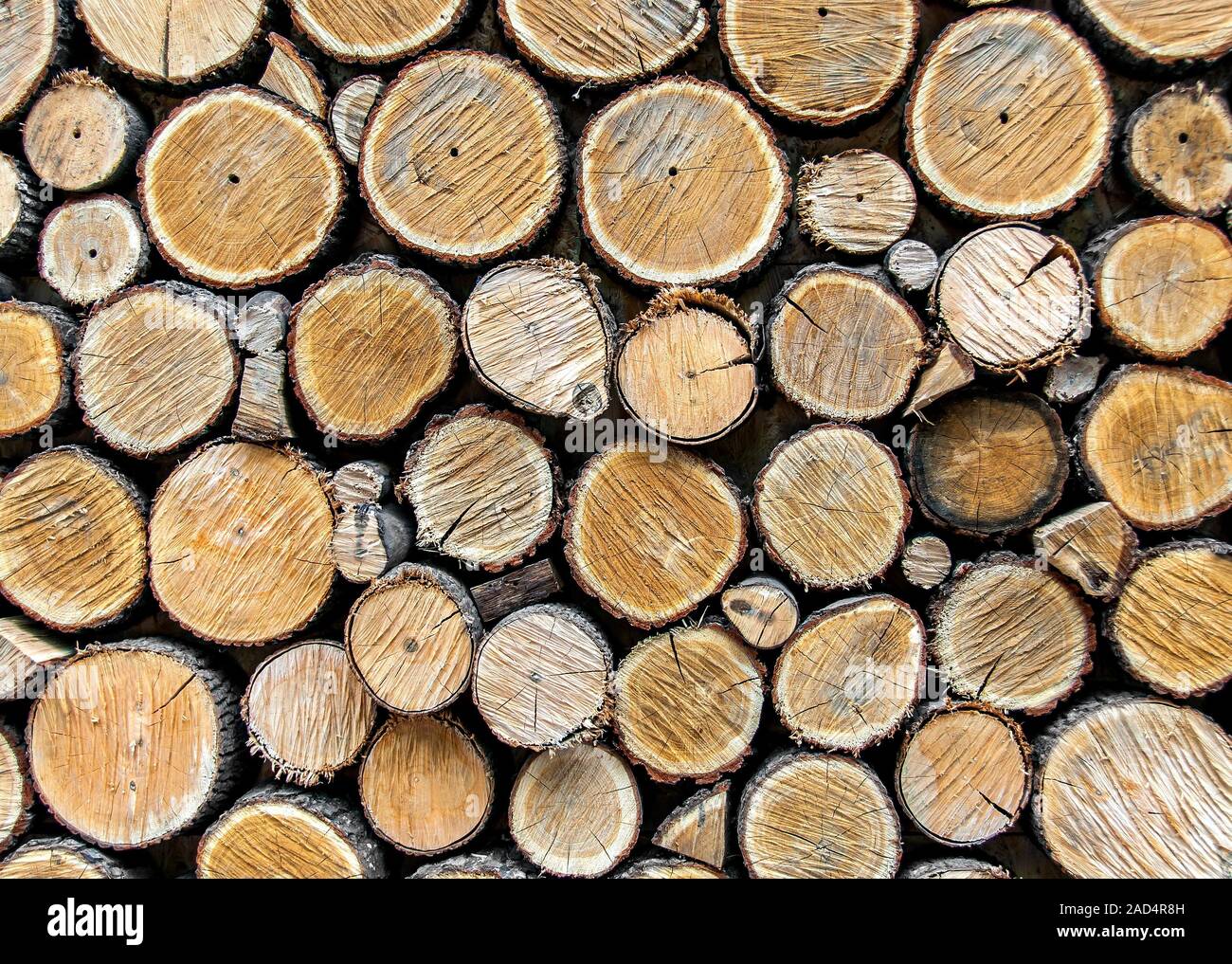 Sfondo di legno secco registra impilati gli uni sugli altri Foto Stock