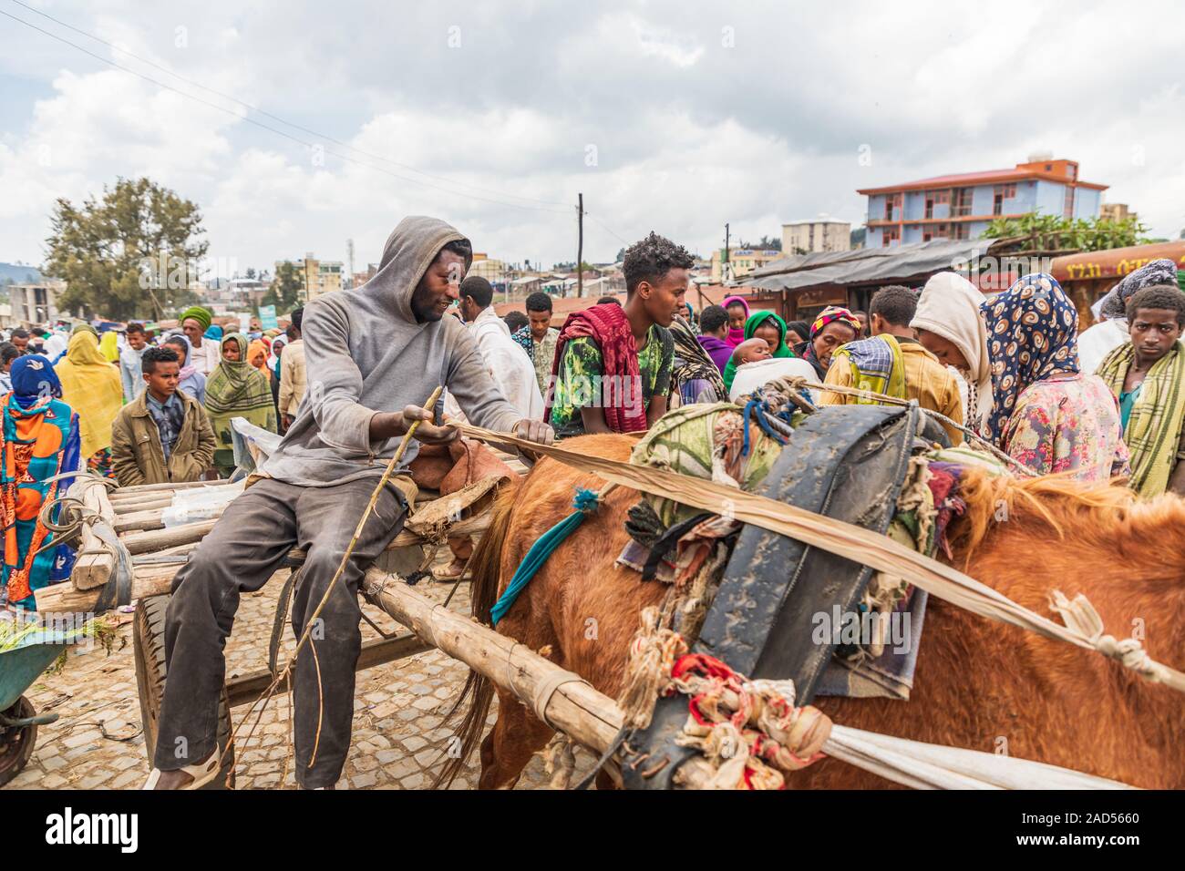 Etiopia. Amhara. Sbarcare. Settembre 21, 2019. Uomo con il cavallo e la spesa al mercato di sbarcare. Foto Stock