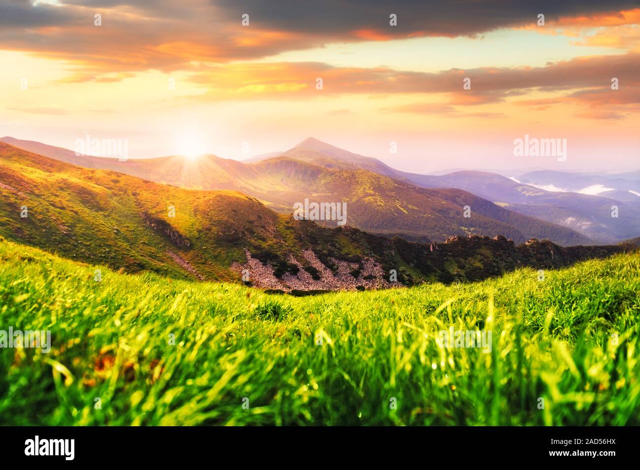 Estate paesaggio di montagna nei Carpazi. Erba verde e la gamma delle montagne sullo sfondo. Incredibile sunrise nel parco naturale nazionale Foto Stock