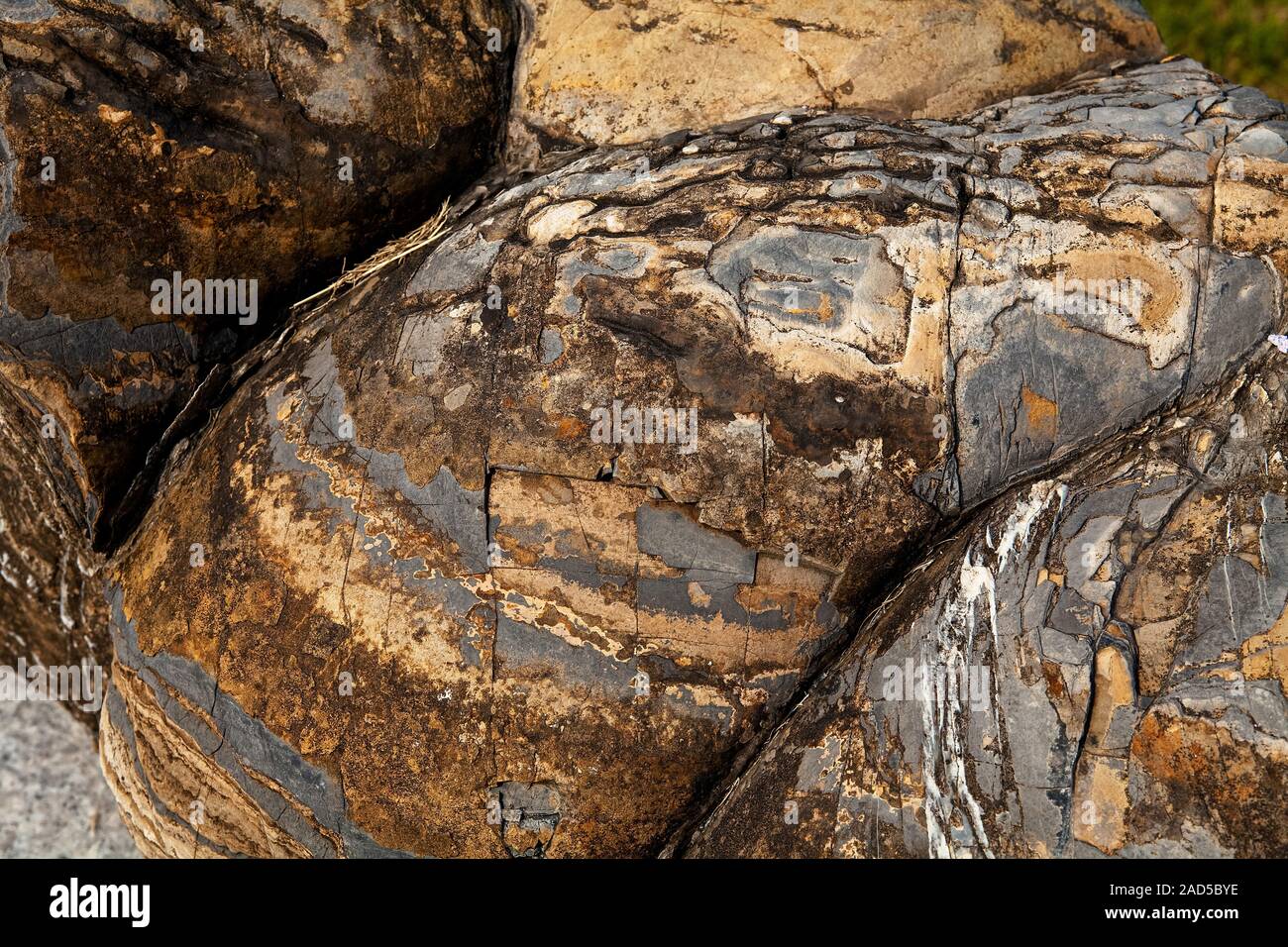 La superficie della pietra Stromatolite Foto Stock