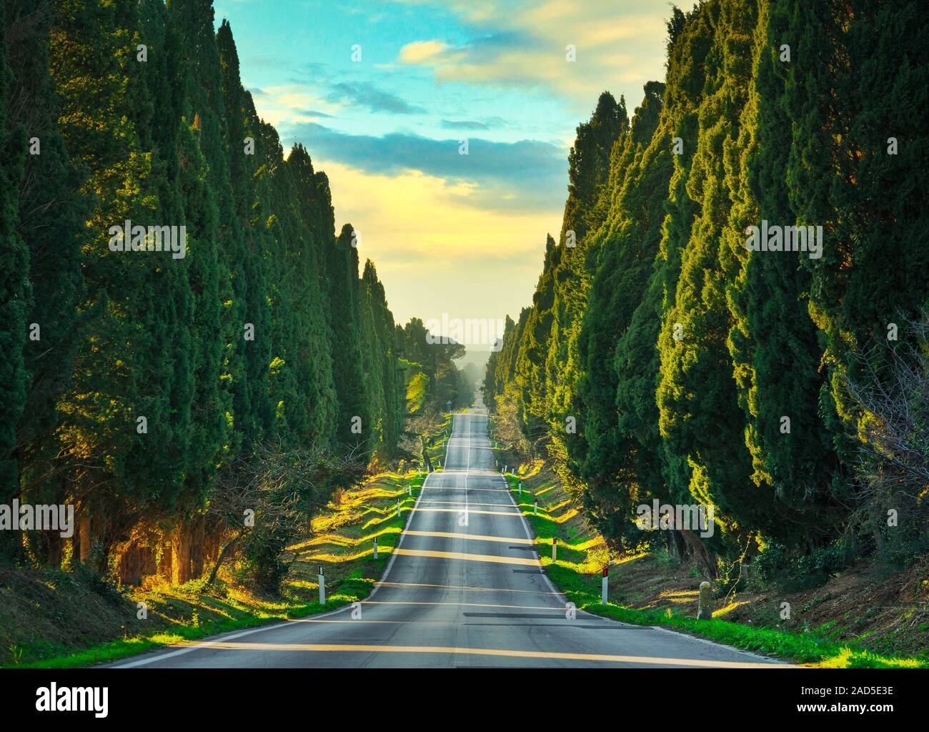 Bolgheri famosi cipressi alberi viale rettilineo orizzontale. Punto di riferimento della Maremma Toscana, Italia, Europa. Foto Stock