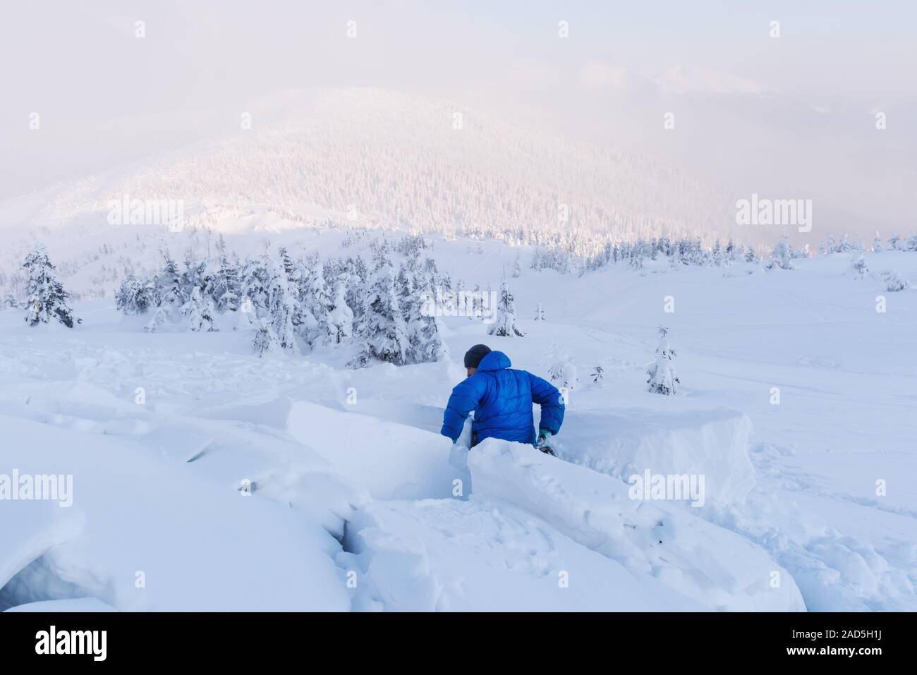 Un uomo coperto con una valanga di neve si allunga la mano per aiutare. Pericolo estrema Foto Stock