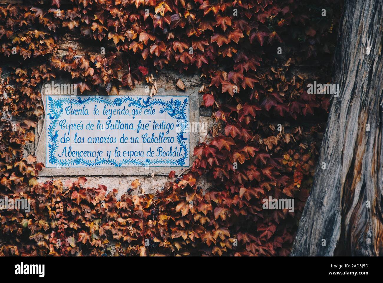 Poema scritto in una piastrella e circondato da un rosso Impianto di arrampicata all'Alhambra Foto Stock