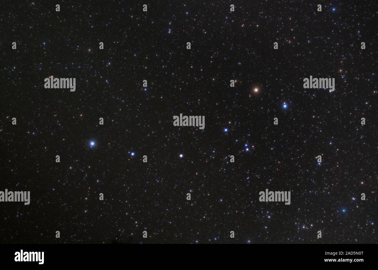 costellazione orsa minore - 7 La costellazione dell'Orsa Minore. Immagine ottica delle stelle del nord della costellazione dell'Orsa Minore (il piccolo orso). Entro questa costellazione è al Foto stock - Alamy