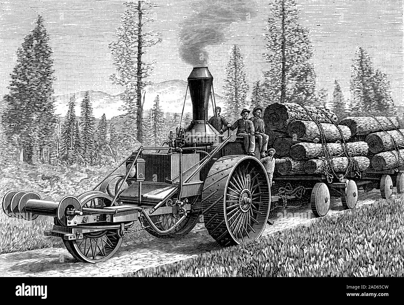 Xix secolo il trattore a vapore. 1895 Illustrazione di un vapore-powered trattore utilizzato per estrarre gli alberi collegati in un bosco in California, Stati Uniti d'America. Foto Stock