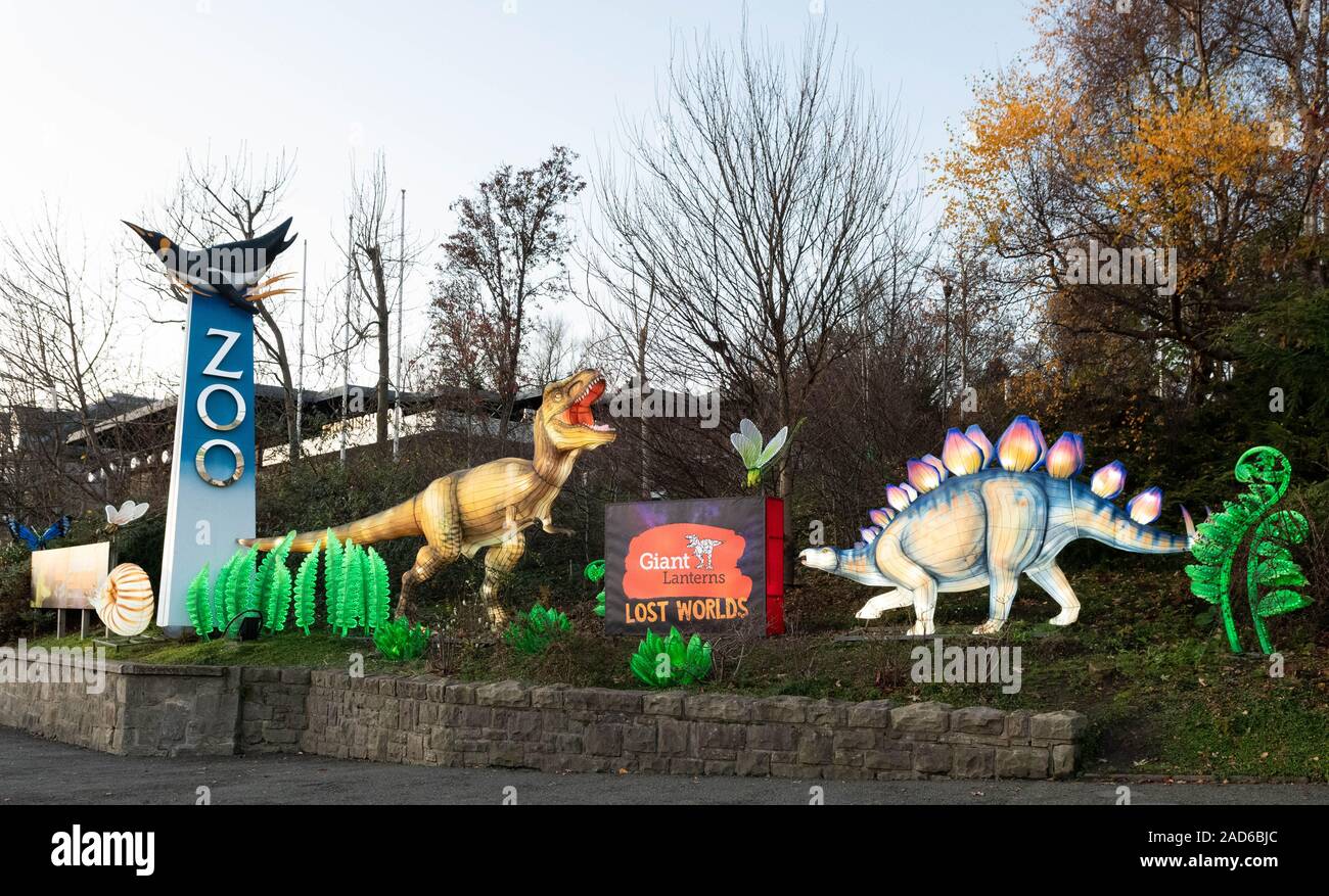Lo Zoo di Edimburgo lanterne gigante Lost Worlds firmare e ingresso 2019, Edimburgo, Scozia, Regno Unito Foto Stock