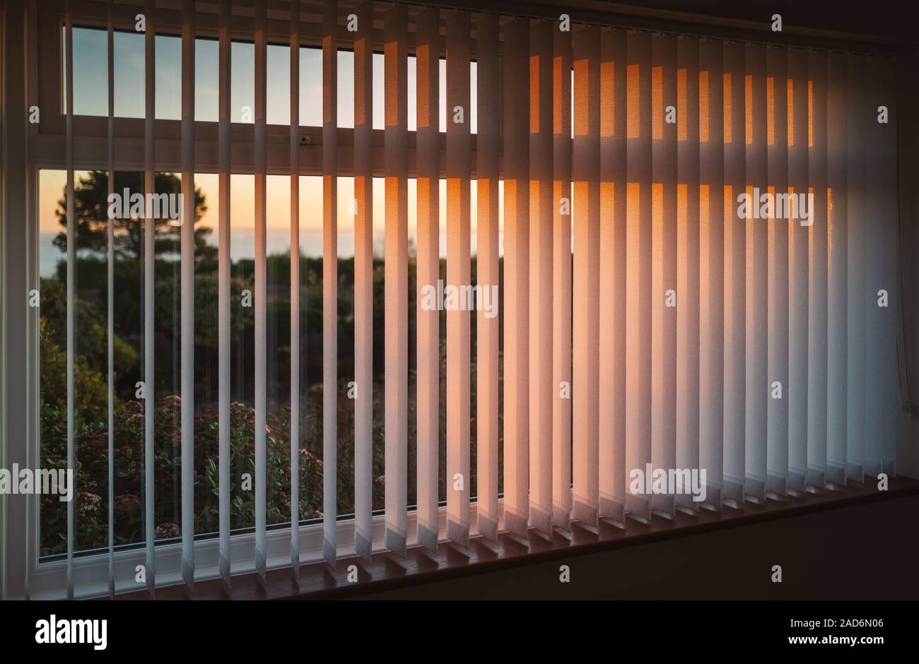 Verticali bianche tende tapparelle appeso davanti a una finestra come il sole tramonta girando la luce dorata. Le stecche sono incollati a tenuta stagna tasche e no cor Foto Stock