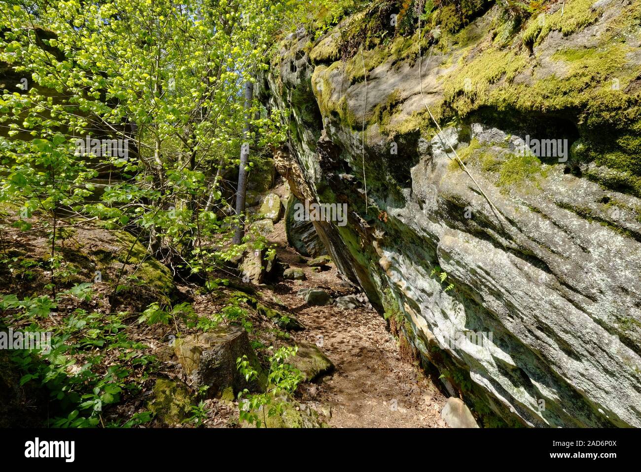 Gruppo Rock Diebskeller vicino Altenstein, parco naturale Haßberge, bassa Franconia, Baviera, Germania Foto Stock