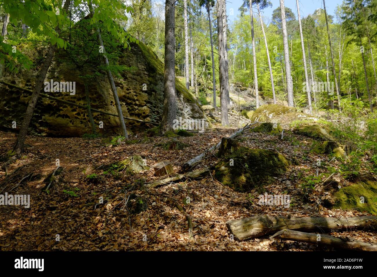 Gruppo Rock Diebskeller vicino Altenstein, parco naturale Haßberge, bassa Franconia, Baviera, Germania Foto Stock