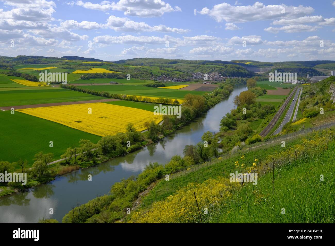 Paesaggio e vigneti vicino a Stetten, Main-Spessart County, bassa Franconia, Baviera, Germania Foto Stock