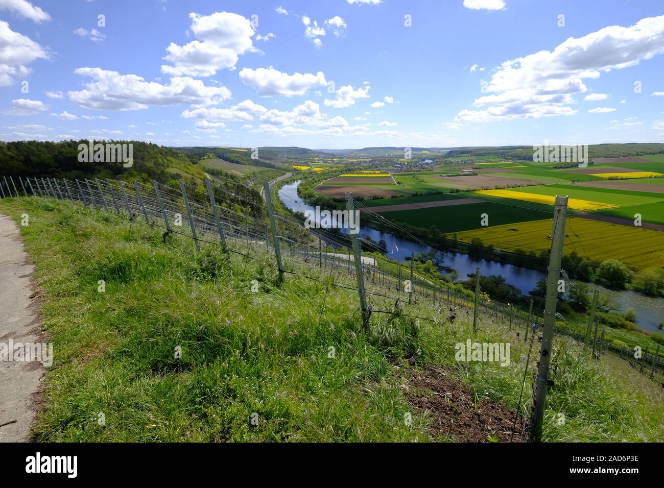 Paesaggio e vigneti vicino a Stetten, Main-Spessart County, bassa Franconia, Baviera, Germania Foto Stock