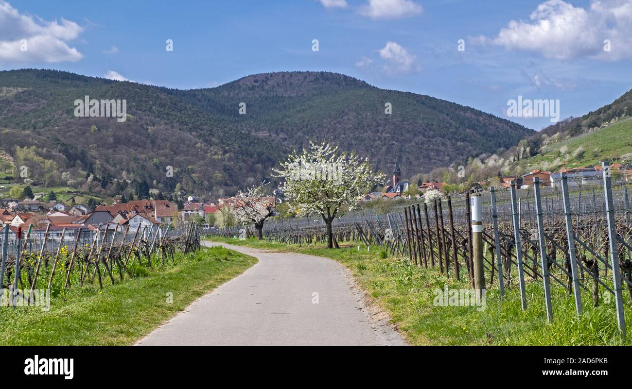 Villaggio del vino di Sankt Martin Foto Stock