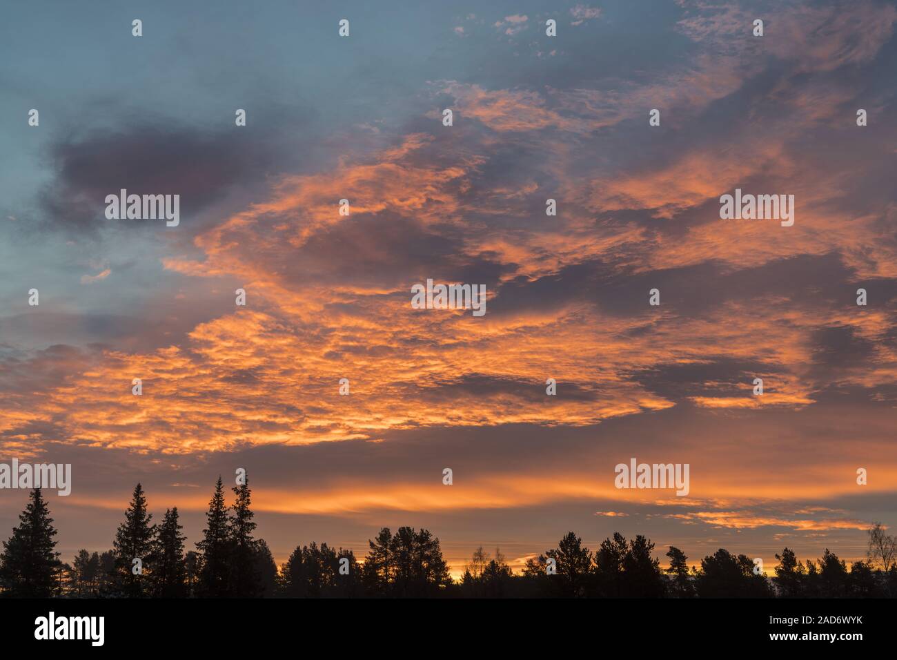 Atmosfera mattutina, Gellivare, Lapponia, Svezia Foto Stock