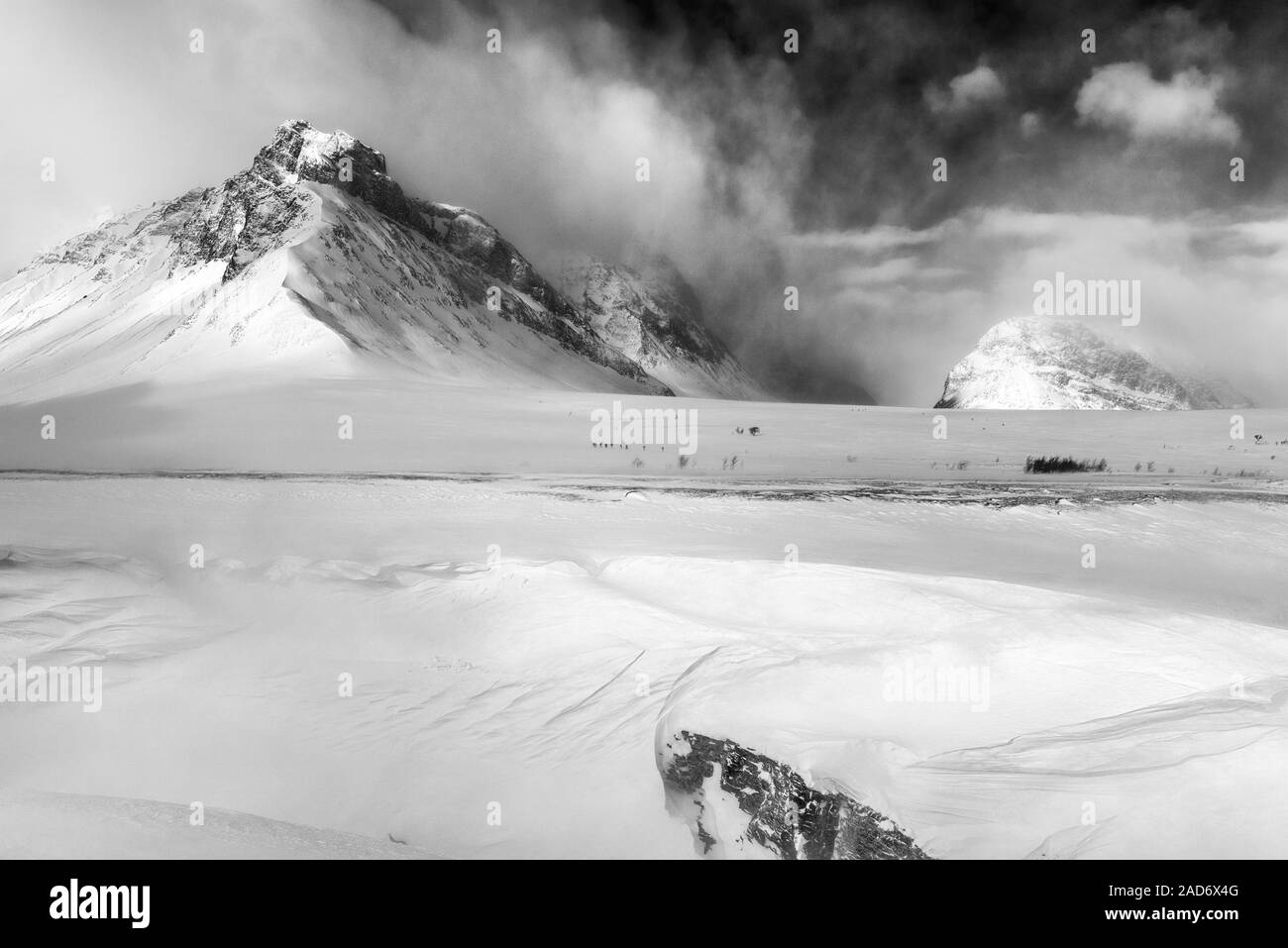 Gli sciatori in tour in Snow Drift, Stuor Reaiddavaggi, Lapponia, Svezia Foto Stock