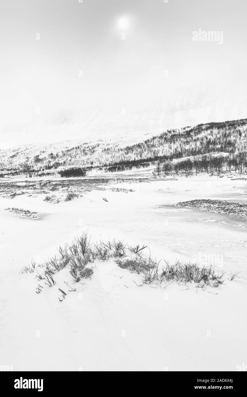 Paesaggio in Snow Drift, Vistasdalen, Lapponia, Svezia Foto Stock