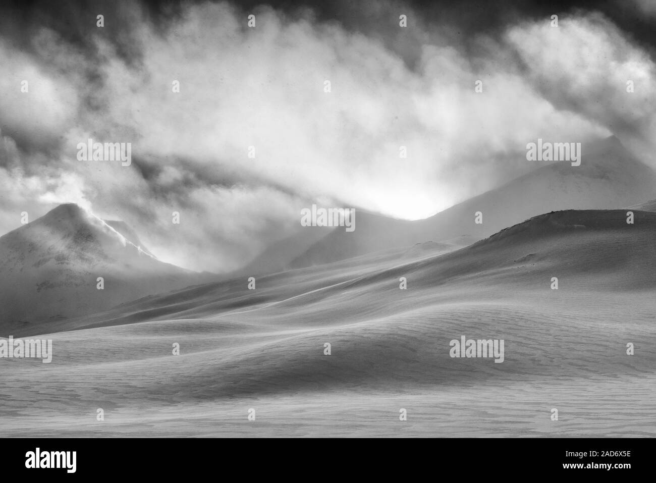 Paesaggio in Snow Drift, Stuor Reaiddavaggi, Lapponia, Svezia Foto Stock