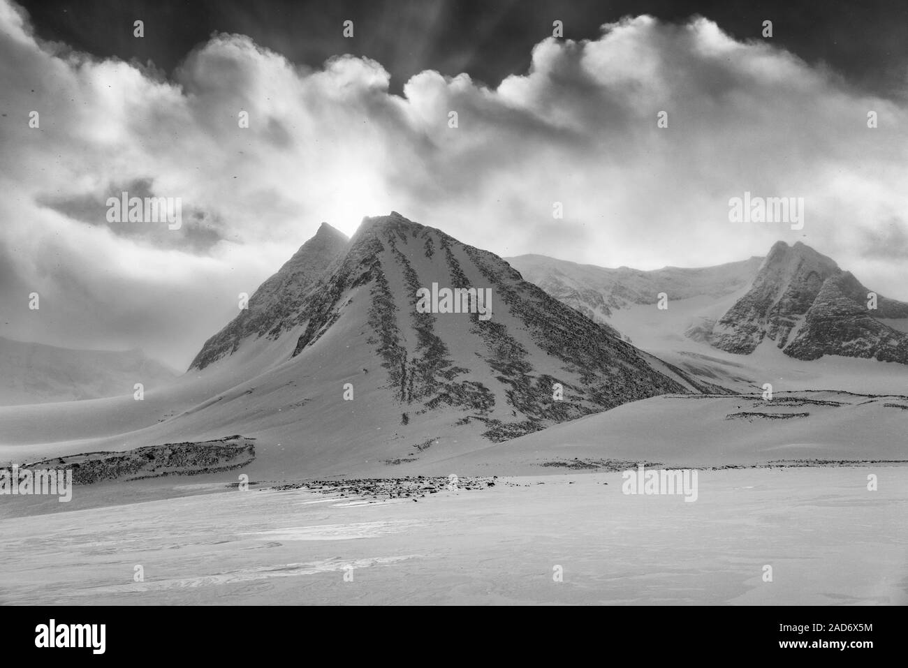 Paesaggio in Snow Drift, Unna Reaiddavaggi, Lapponia, Svezia Foto Stock