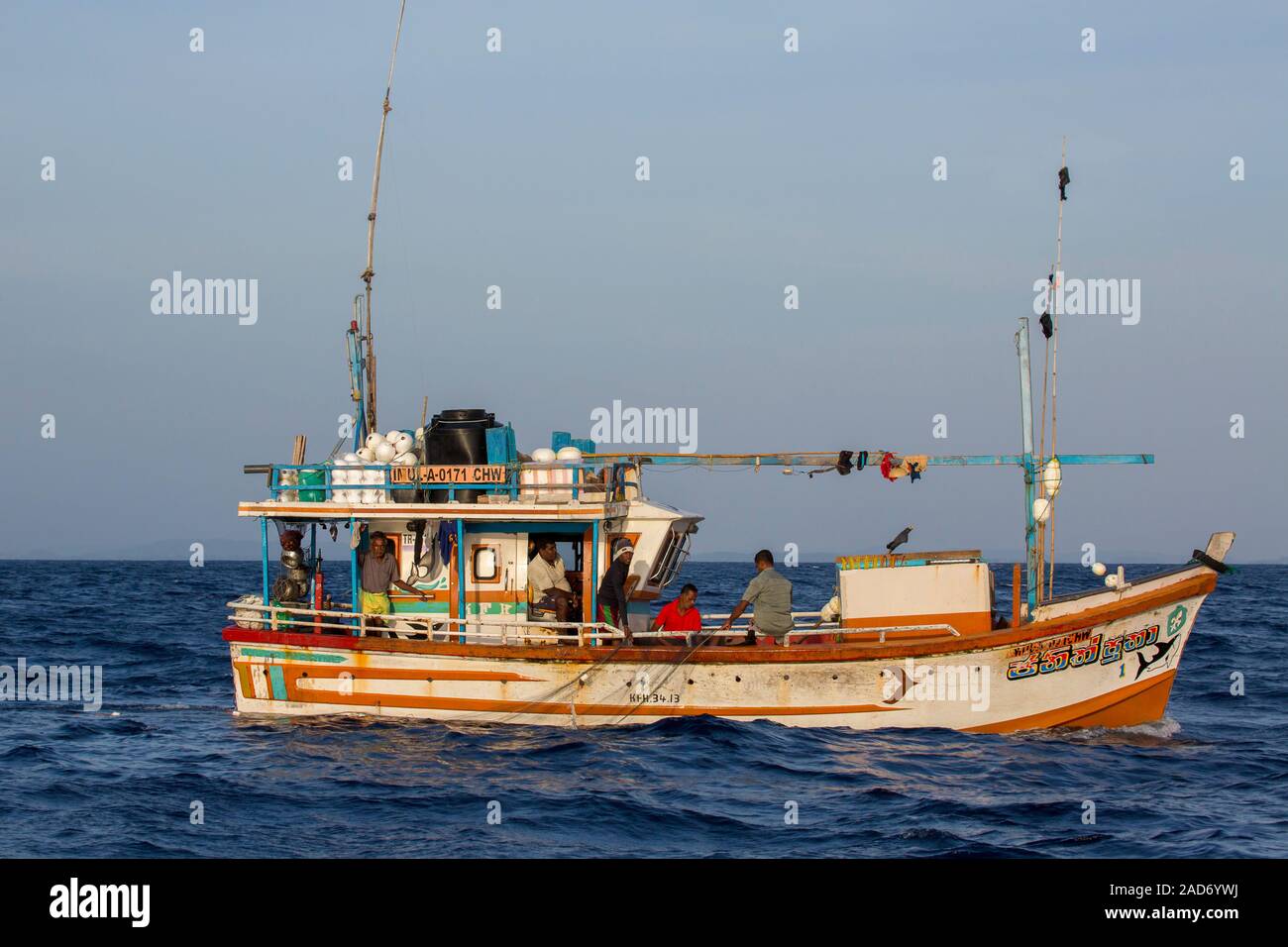 Il governo dello Sri Lanka pescatori tirare la loro rete sopra il lato del loro giro in barca in mare aperto. Foto Stock