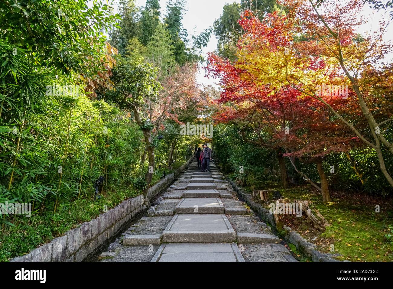 Daidokoro-zaka, le scale per Kodai-ji in Higashiyama, Kyoto Foto Stock