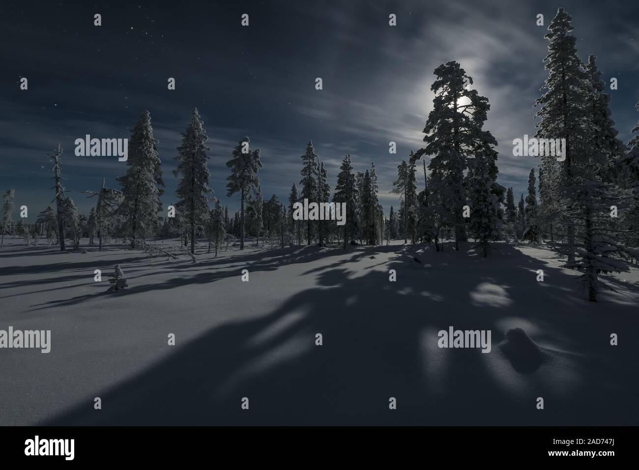 Moonlit paesaggio invernale, Muddus National Park, Lapponia, Svezia Foto Stock
