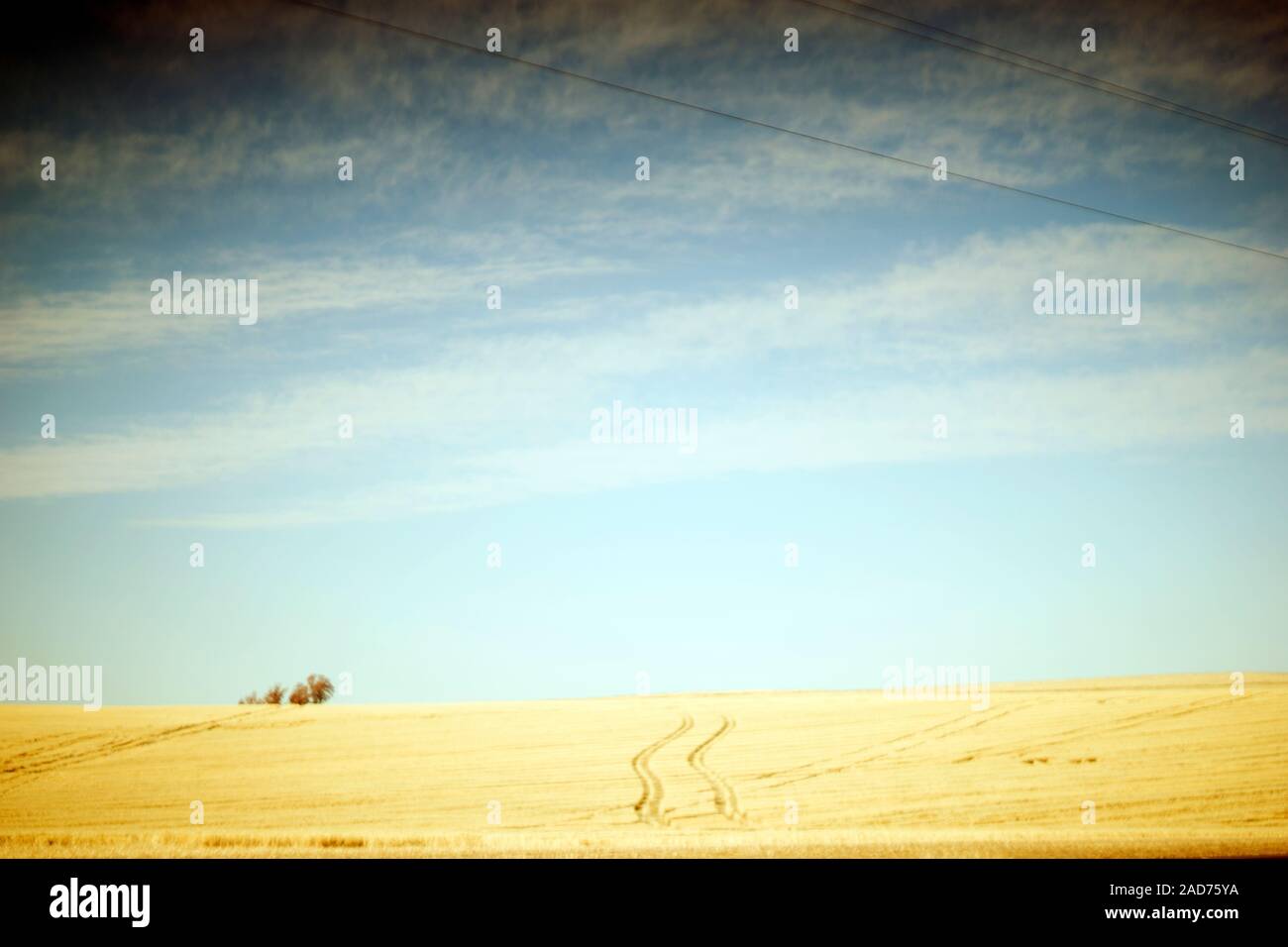 Impronte dal veicolo attraverso il paesaggio agricolo Foto Stock