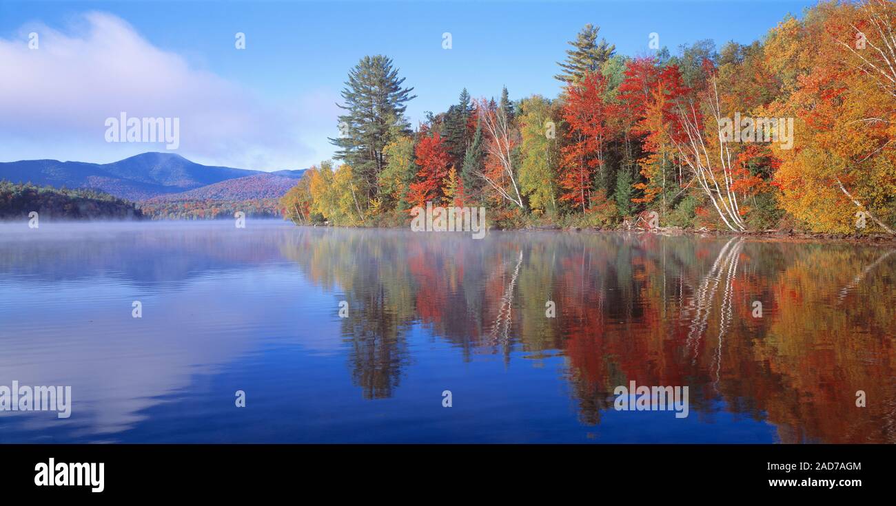 Bosco autunnale riflettendo in Franklin Falls Pond, nello Stato di New York, Stati Uniti d'America Foto Stock