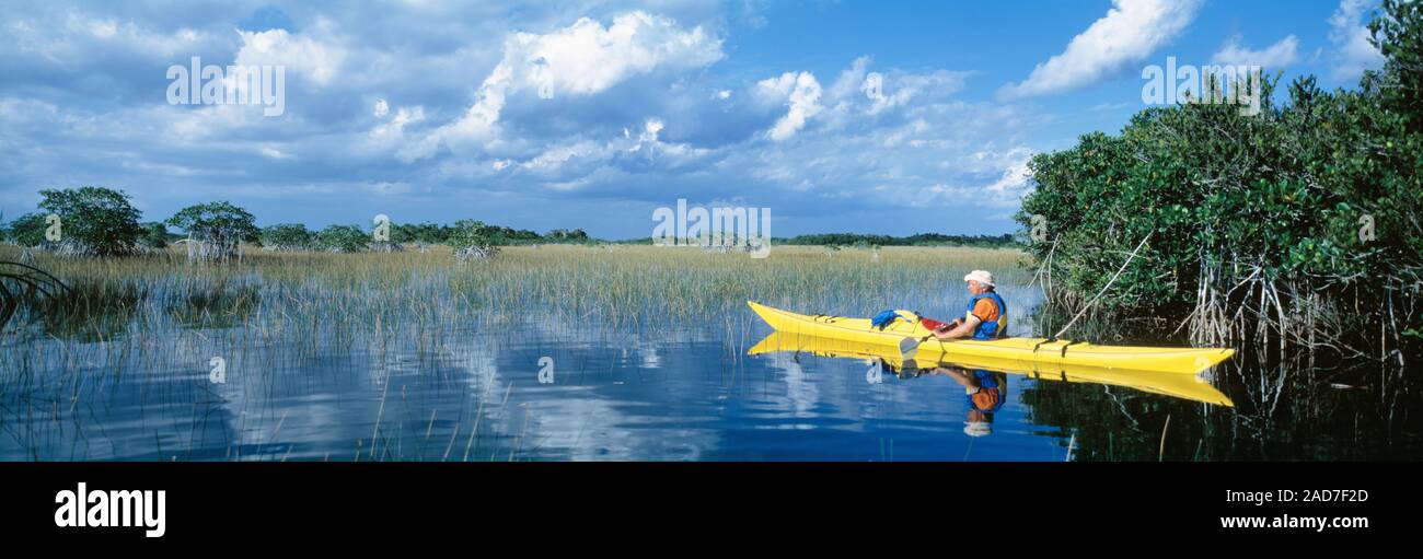 Lone kayaker attraversando marsh in Everglades National Park, Florida, Stati Uniti d'America Foto Stock