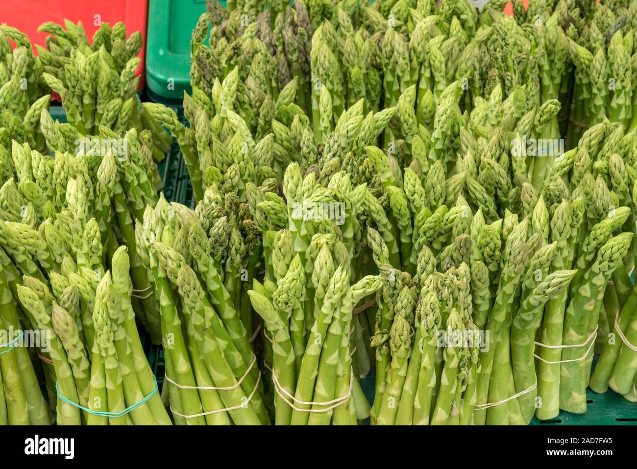 Freschi asparagi verdi per la vendita su un mercato Foto Stock