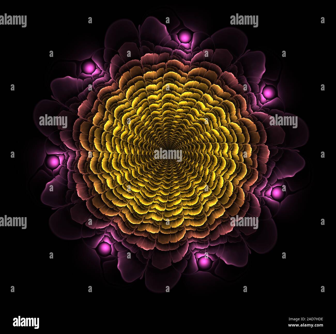 Bella astratto fiore frattale. Computer immagine generata Foto Stock