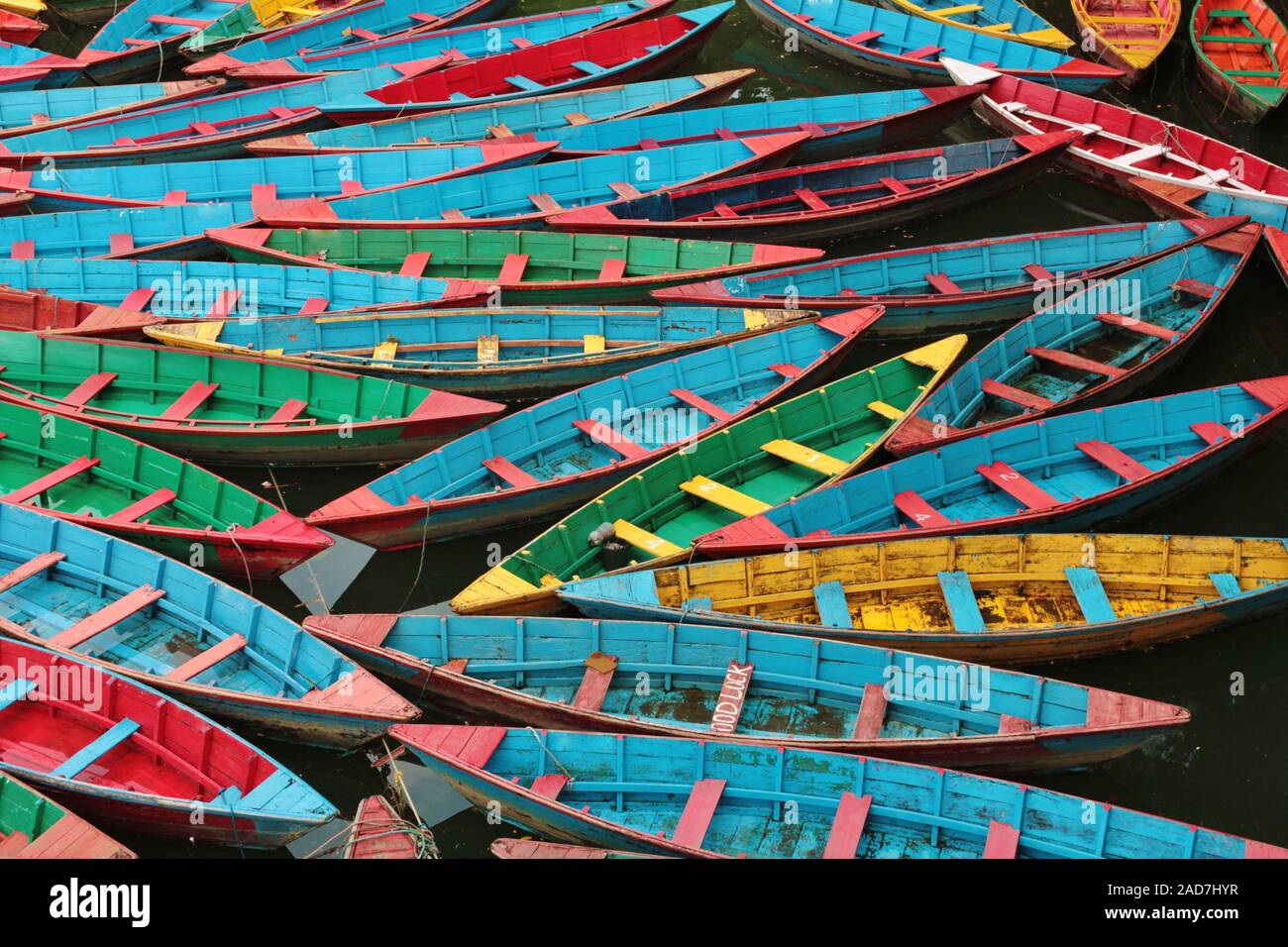 Multi colorate barche a remi sul lago Fewa, Pokhara. Foto Stock