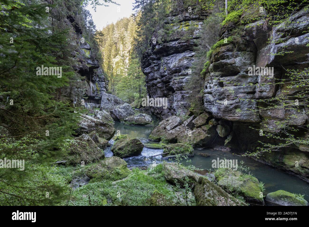 Escursionismo in Svizzera Sassone, Repubblica Ceca Foto Stock