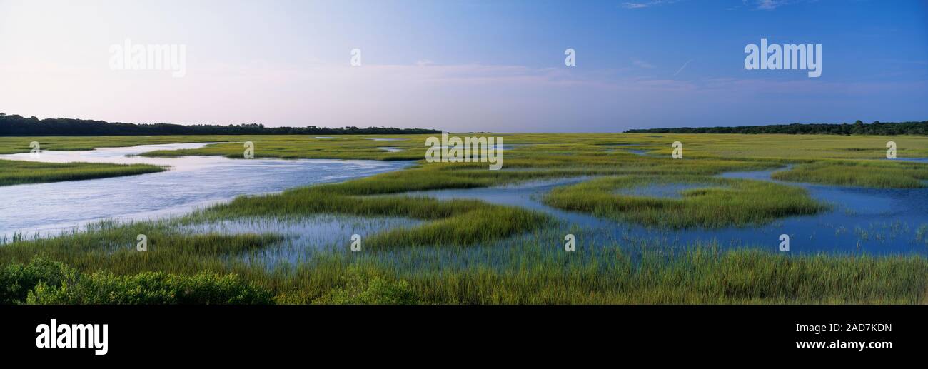 Paesaggio panoramico con vista della Palude Salata, Florida, Stati Uniti d'America Foto Stock
