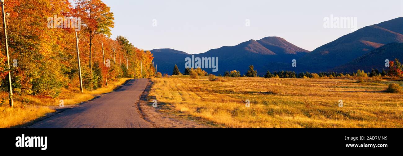 Alberi lungo una strada, Lake Placid, Montagne Adirondack, nello Stato di New York, Stati Uniti d'America Foto Stock