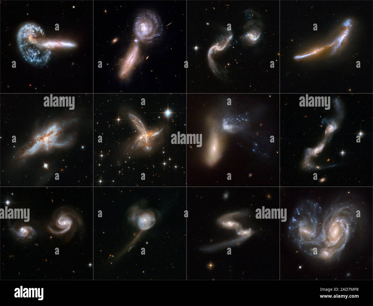 Libri di astronomia tipicamente presenti galassie come compassato, solitaria e maestosa isola mondi di stelle scintillanti. Ma galassie hanno un lato dinamico. Essi hanno incontri ravvicinati che talvolta fine in grand fusioni e traboccante di siti di stella nuova nascita come la collisione di galassie morph in mirabile nuove forme. Oggi, nella celebrazione del telescopio spaziale Hubble del xviii anniversario del lancio, 59 viste di collisione di galassie costituiscono la più grande collezione di immagini di Hubble mai rilasciato al pubblico. Questo nuovo telescopio Hubble atlas drammaticamente illustra come collisioni di galassie producono una notevole var Foto Stock