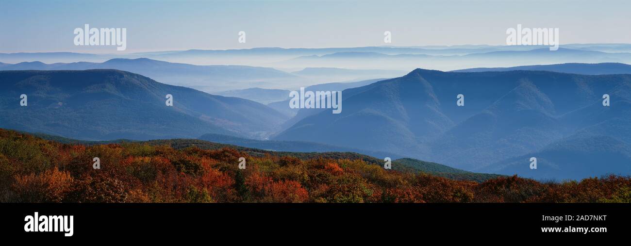 La nebbia sulle colline, Dolly zolle deserto Monongahela National Forest, West Virginia, USA Foto Stock