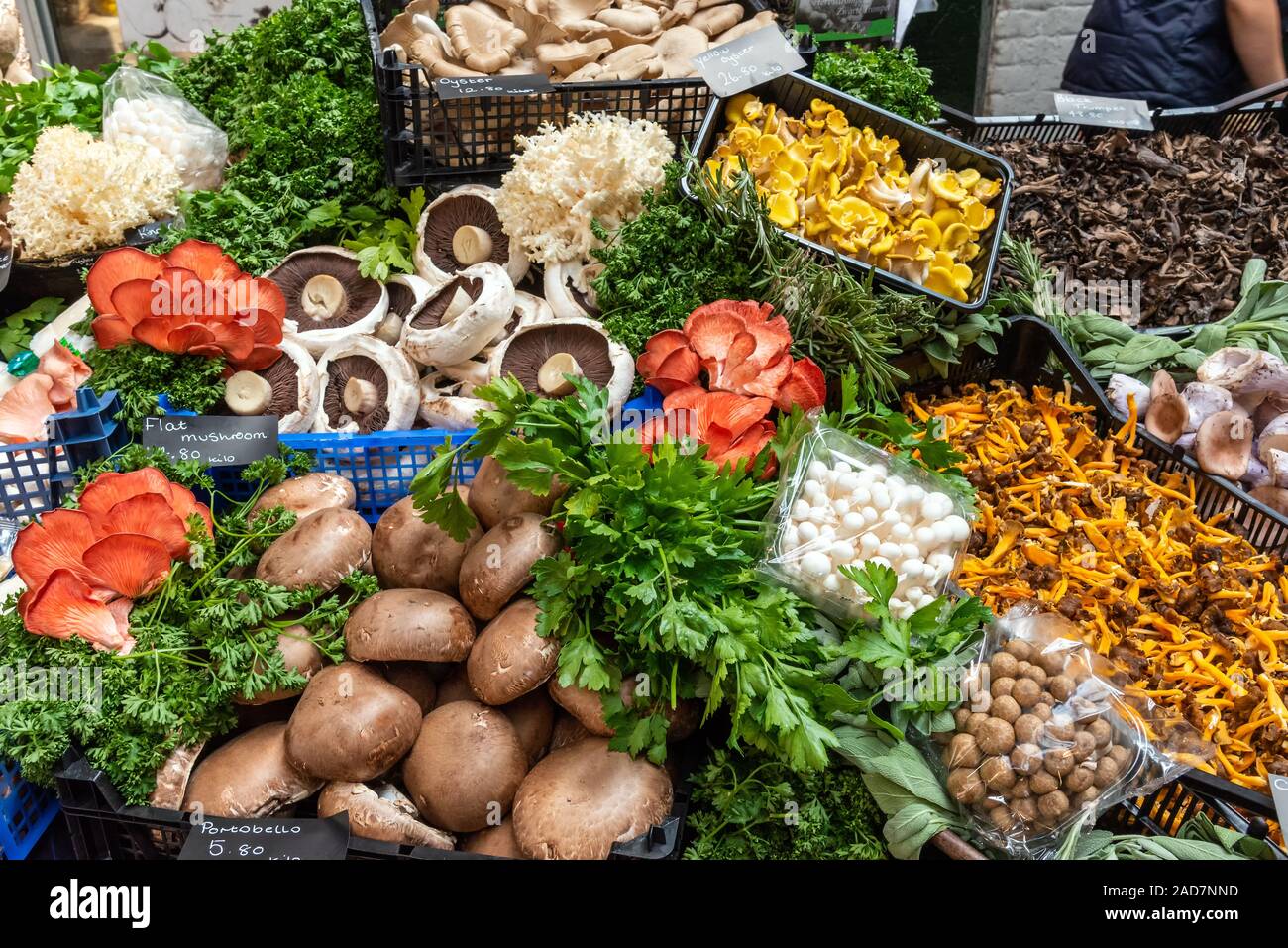 I funghi e le erbe per la vendita in un mercato di Londra Foto Stock