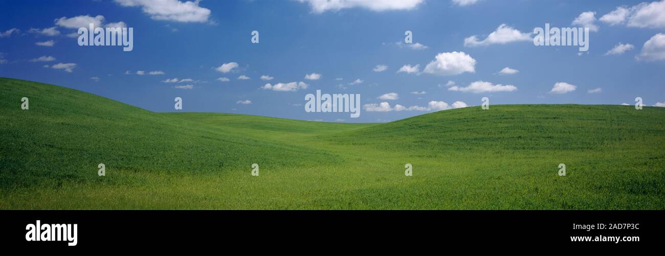 Nuvole Sulle colline, Yolo County, California, Stati Uniti d'America Foto Stock